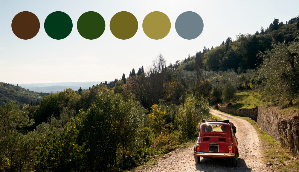 Пример цветовой палитры, созданной из фотографии заката